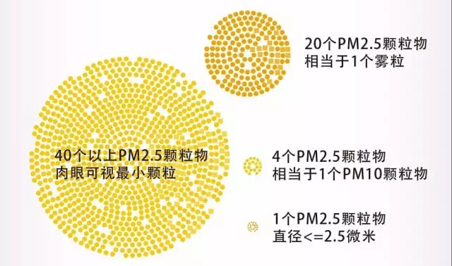 PM2.5����